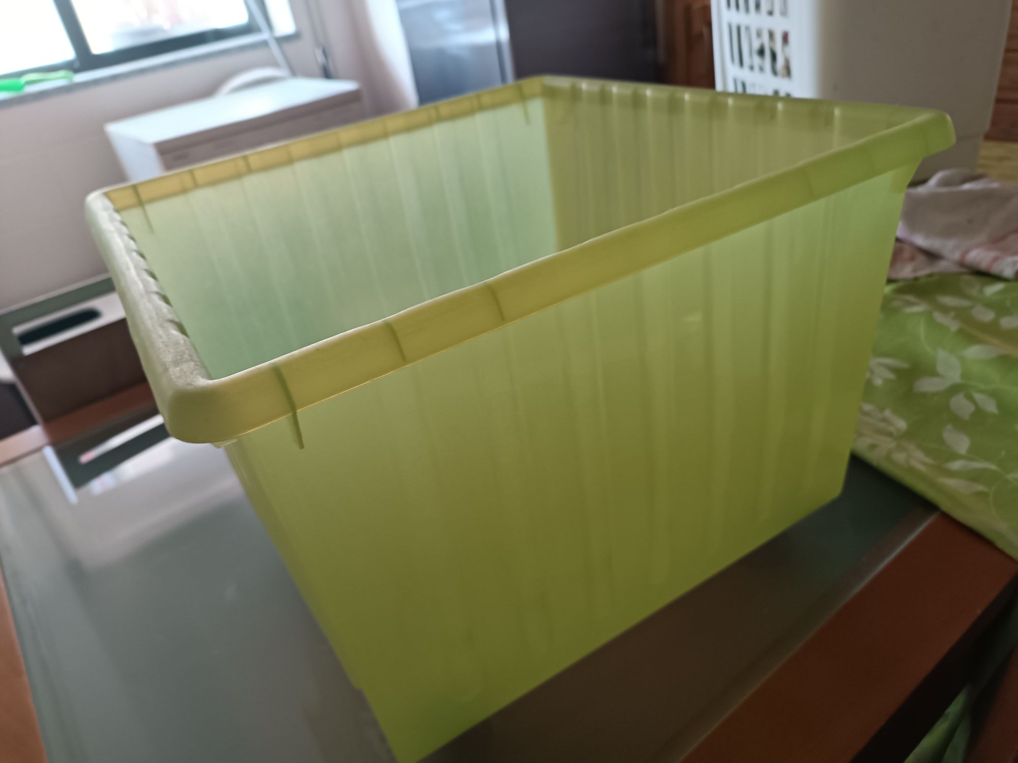 Caixa de armazenamento verde