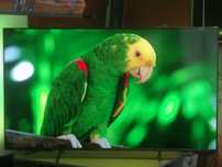 Telewizor Philips 75 cali 4K UHD,120Hz,Google tv, Ambiliht3 Super stan