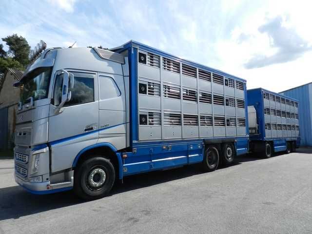 Do zwierzat VOLVO FH 540 01/2020 zab i przy GUITTON 2/3 poz