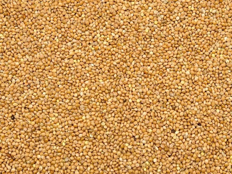 Sprzedam PROSO  Czyste