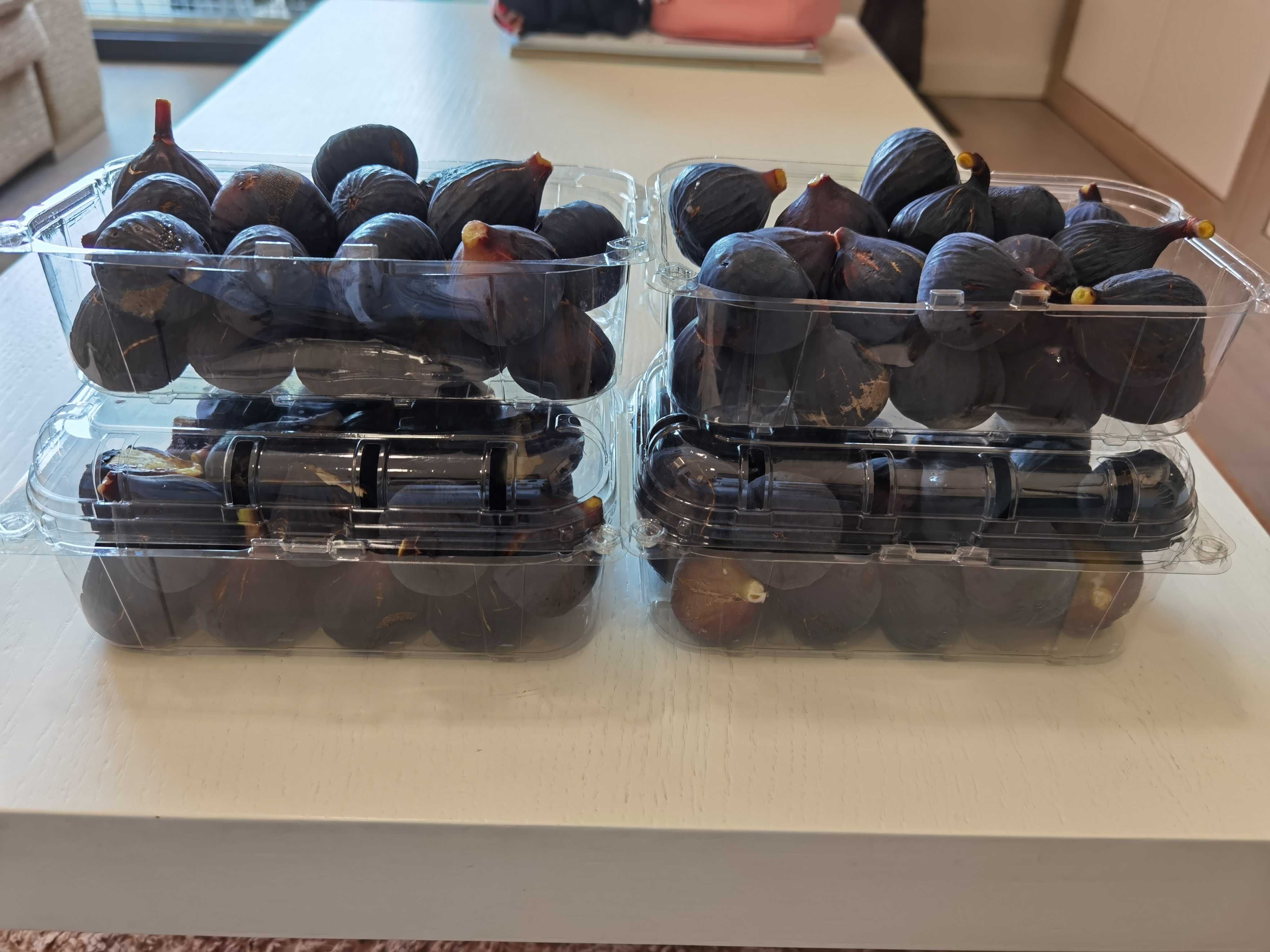 Figos Pretos / Roxos