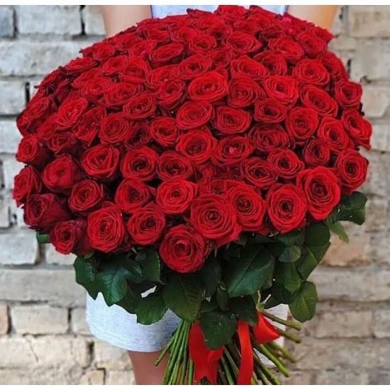 Цветы , роза !!!