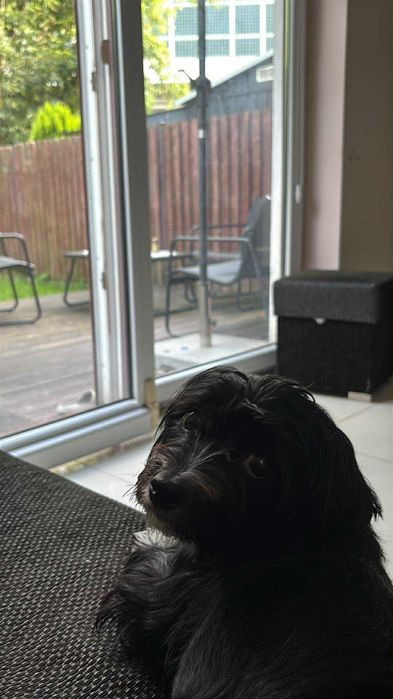 Wynajmę pokój młodej dziewczynie / studentce