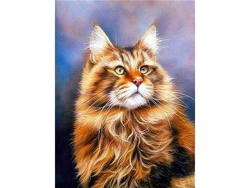 Haft Diamentowy, Obraz, Mozaika Diamentowa RUDY MAINE COON 30x40cm