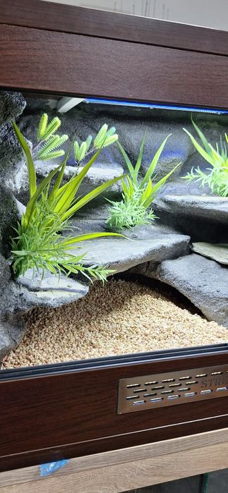 Terrarium dla gekona lamparciego 60x40x40 nowe