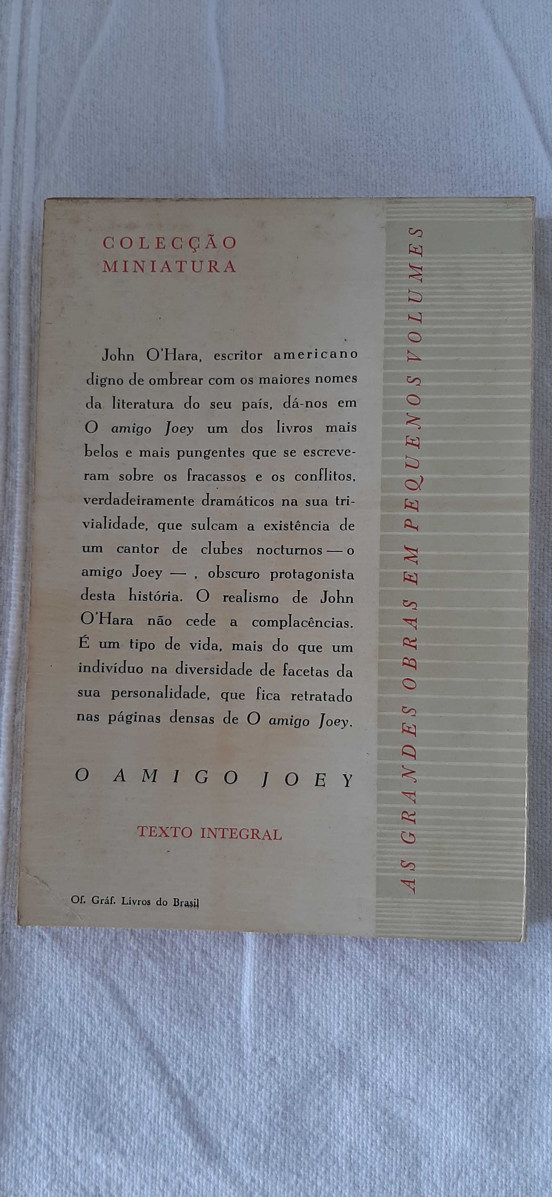 A Viajante - Gisele Prassinos