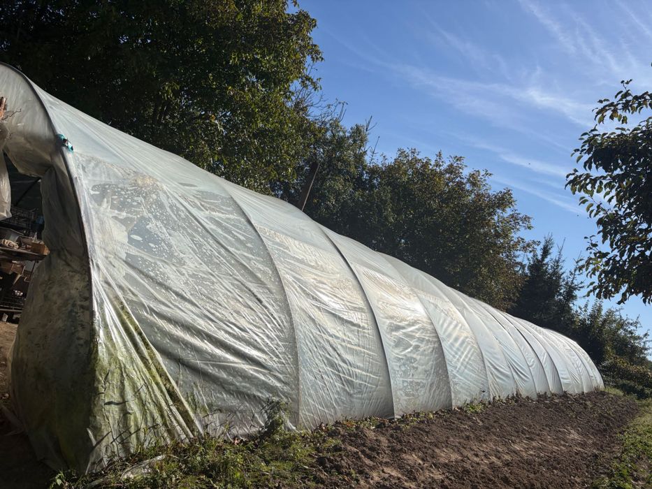 Sprzedam tunel foliowy