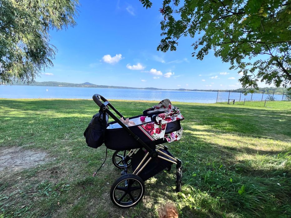 Gondola Cybex Prim blossom