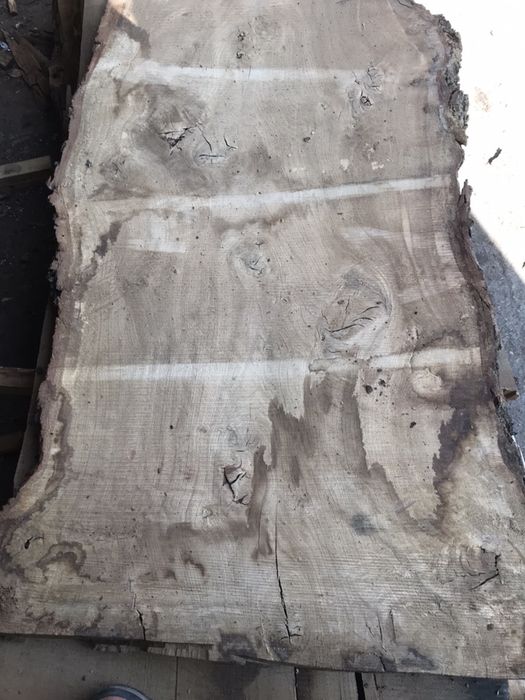 Blat lity monolit foszty blochy dębowy i inne