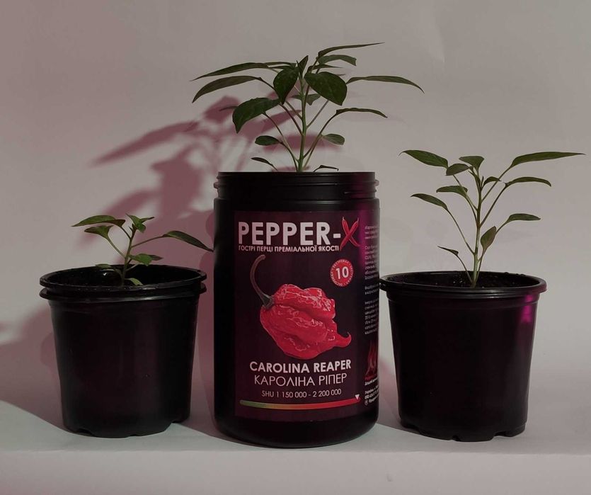 Carolina Reaper - Набор для проращивания самого острого перца в мире