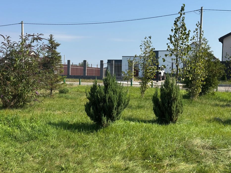 Казкове місце біля річки в 4 км від Києва