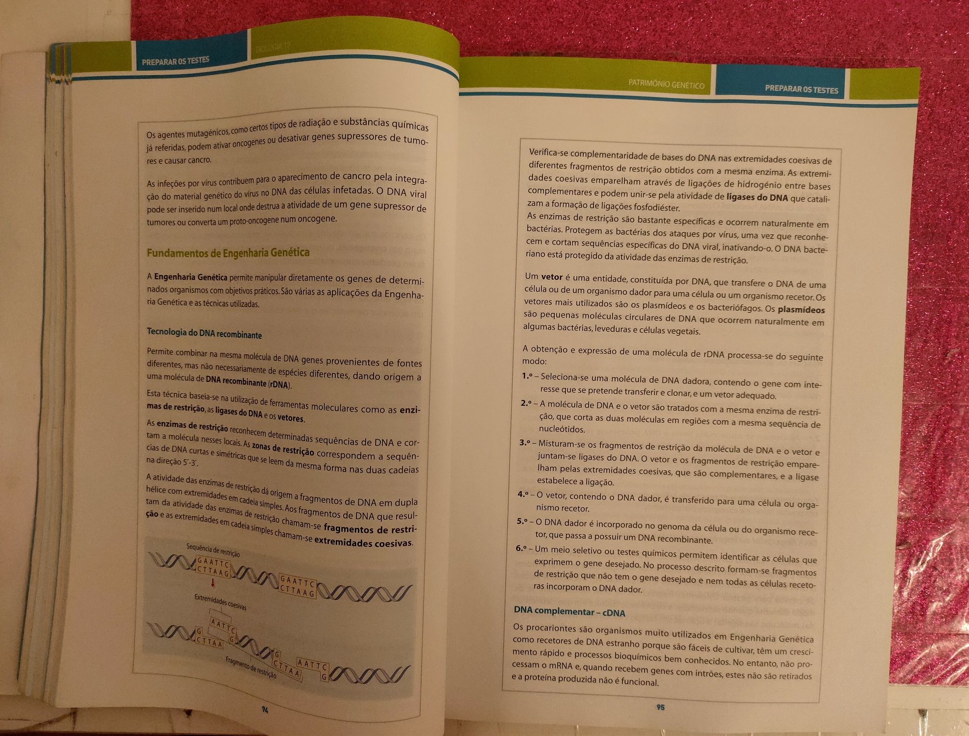 Livro preparação testes 12° Ano Biologia | Ermesinde