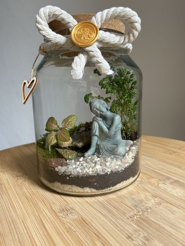Terrários - plantas interiores