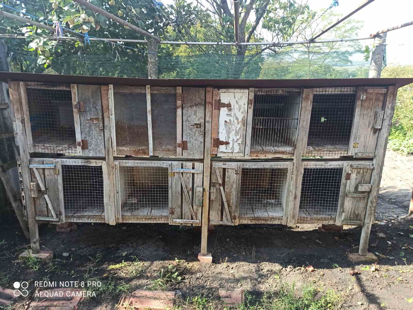 Продам кролятник