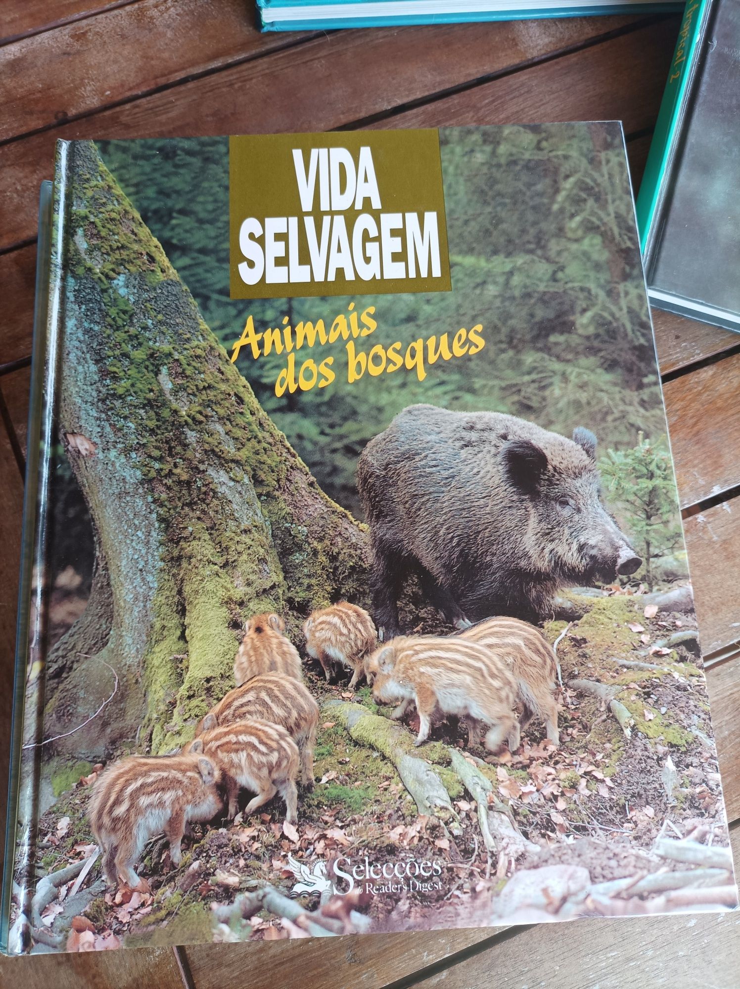 6 Livros - Coleção Vida Selvagem