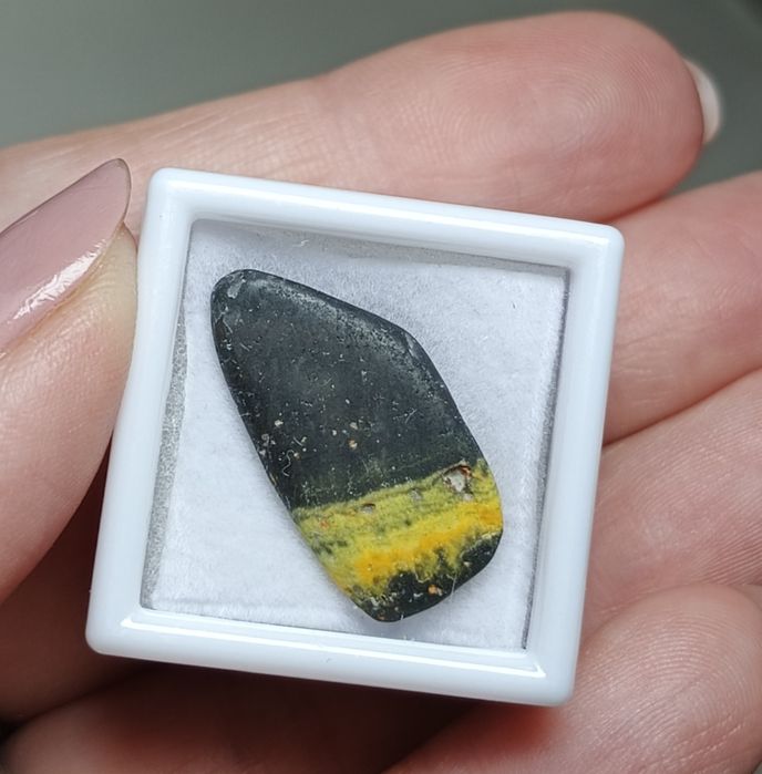 Jaspis trzmieli minerał w pudełku kolekcjonerskim