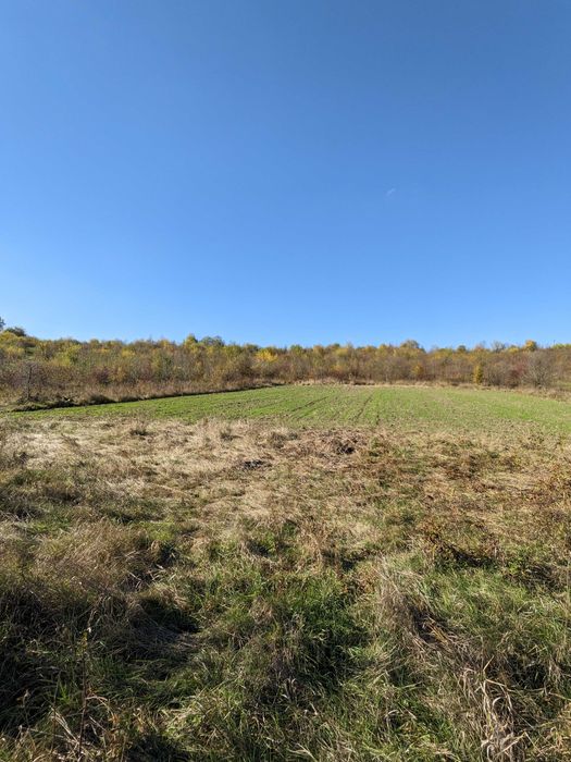 Земельна ділянка 15 сот Ст. Лисець, вул. Шевченка, під забудову (4)