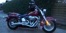 Harley Davidson softail