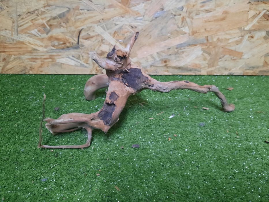 Korzeń do akwarium Red Moore Wood nr 1116 o wymiarach 33/15/16