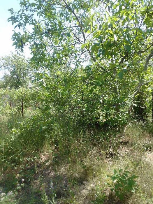 Продам  2-х поверхову дачу в СТ "Маяк", с. Себіно