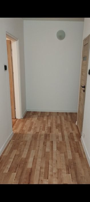 Wynajmę mieszkanie M-2