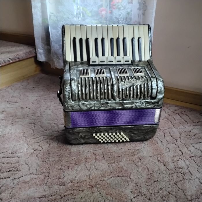 Akordeon Weltmaister 40 basy