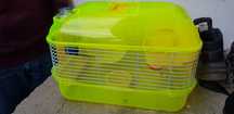 Casota hamster como nova
