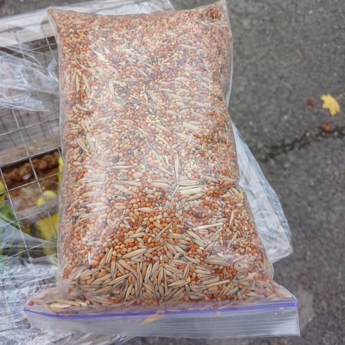 Продам зерно чумізи ,могару