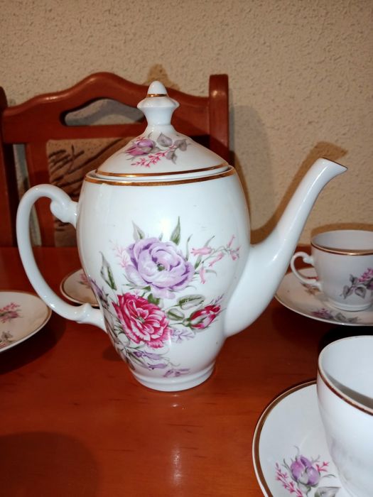 Serwis Włocławek porcelana róże
