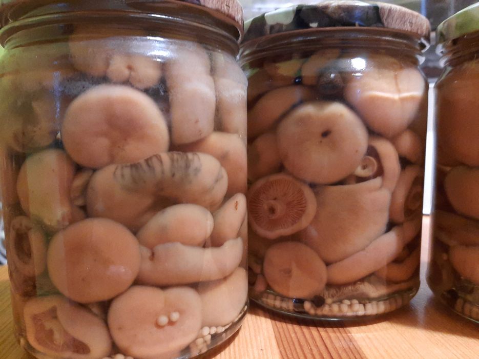 Grzyby marynowane prawdziwki