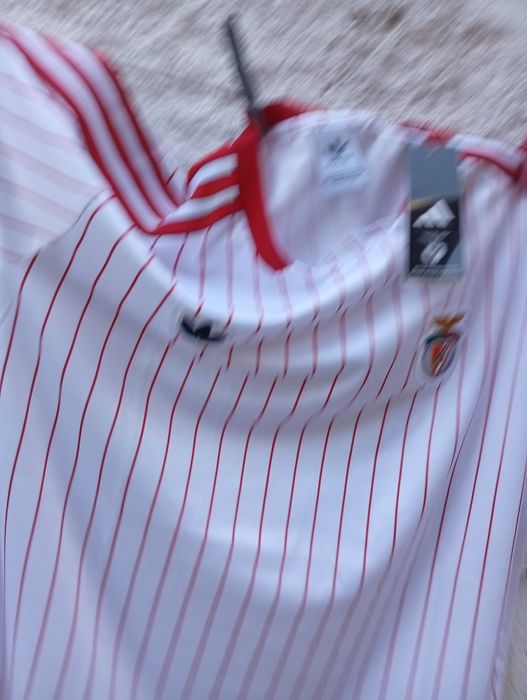 Camisolas 25/26 do Benfica,várias modelos e tamanhos