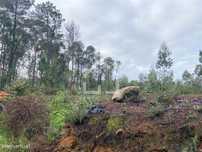 Terreno para construção de armazém
