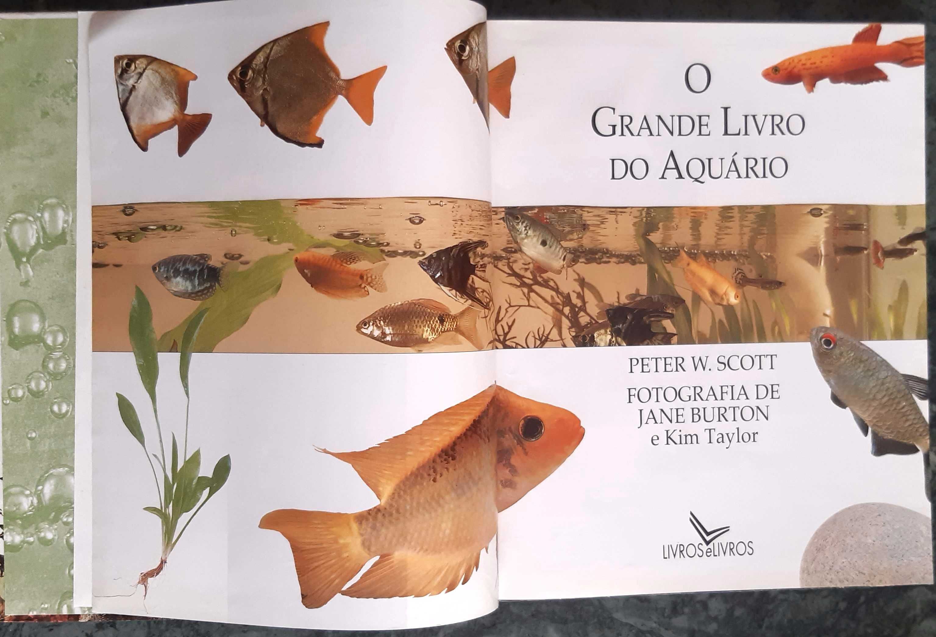 "O Grande Livro Do Aquário" Editora Livros e Livros