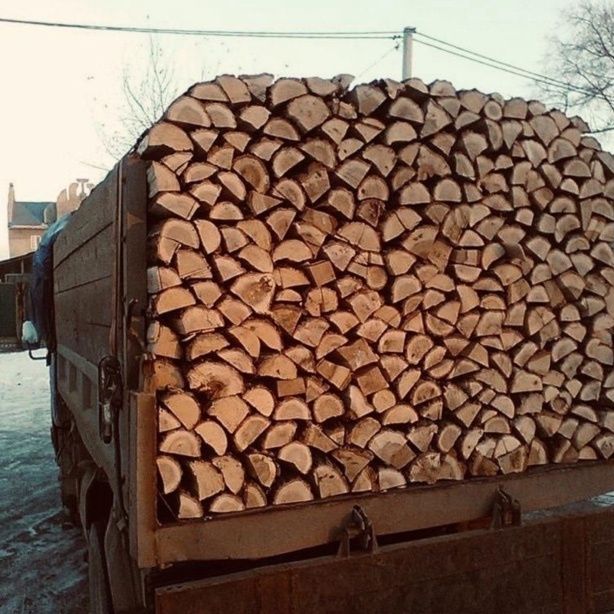Дрова твердих порід