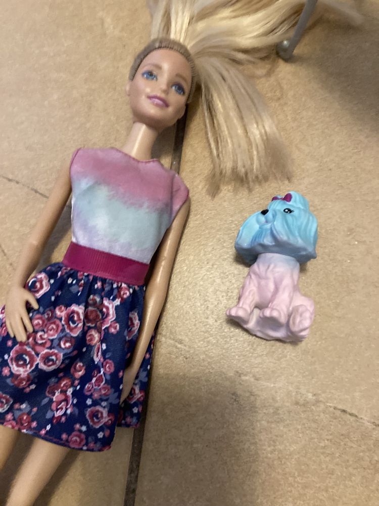 Barbie z pieskiem Magiczna Transformacja