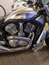 Harley davidson v rod