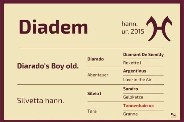 sprzedam źrebną klacz skokową