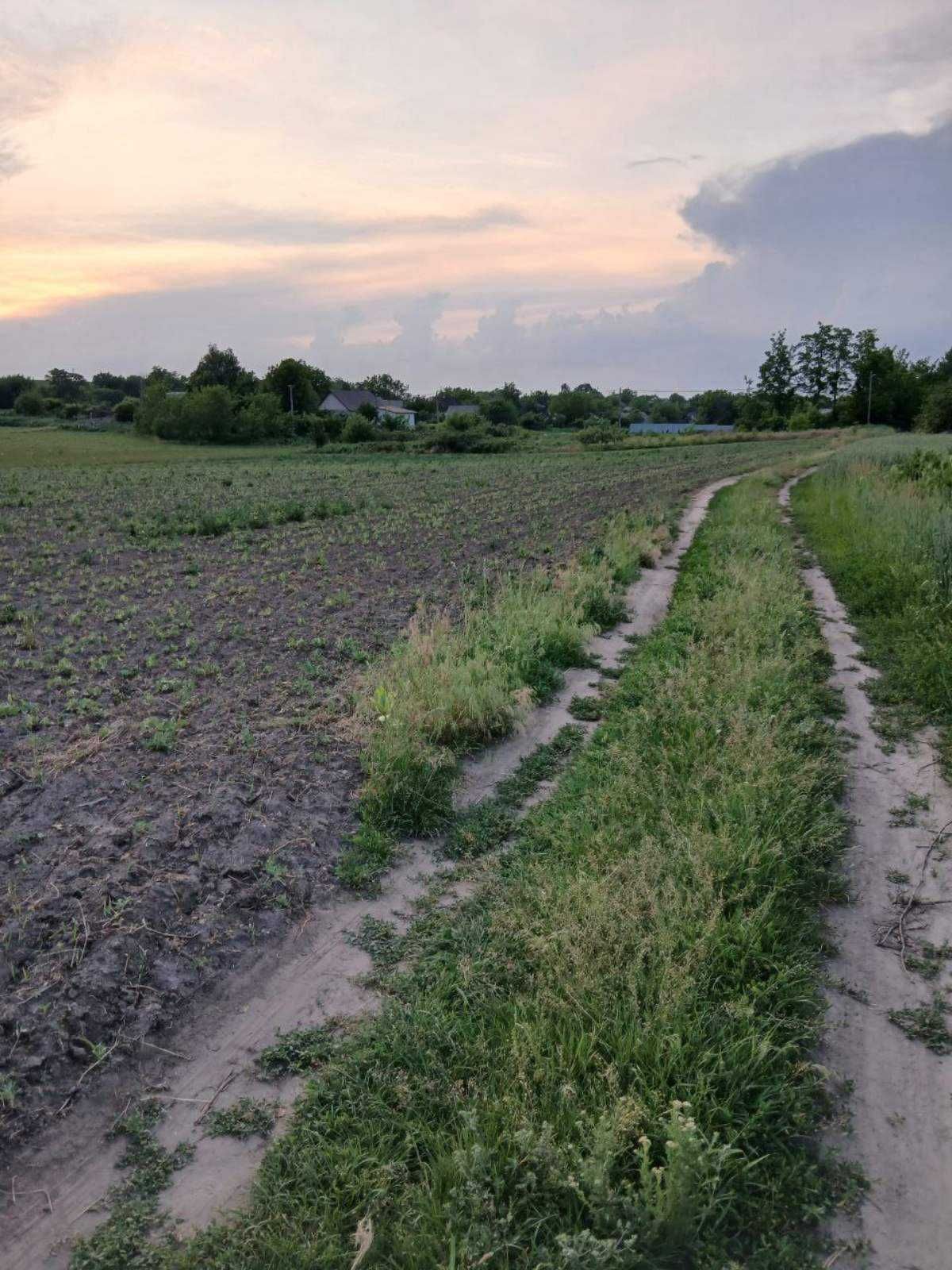 Продам ділянку 20 соток під забудову Халеп'я Витачів Трипілля Без%