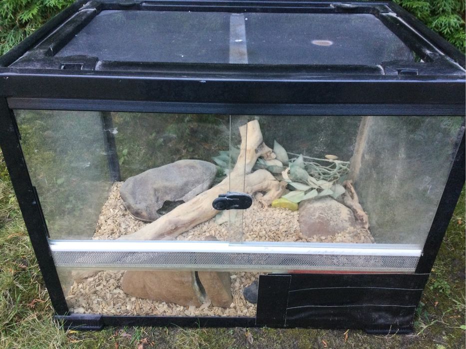 Terrarium okazja weekendowa z częściowy wyposażeniem jak na zdjęciach