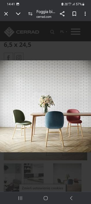 Płytka elewacyjna klinkier CERRAD Foggia Bianco Nero