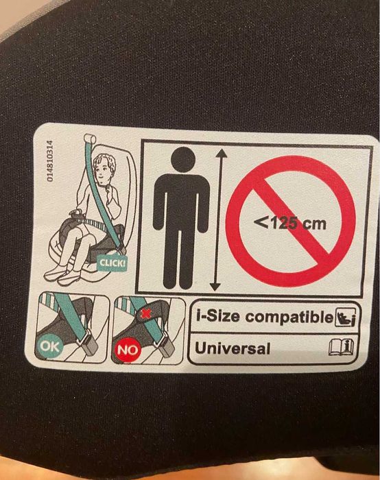 Assento Auto I-Size Cinza Happy Bear