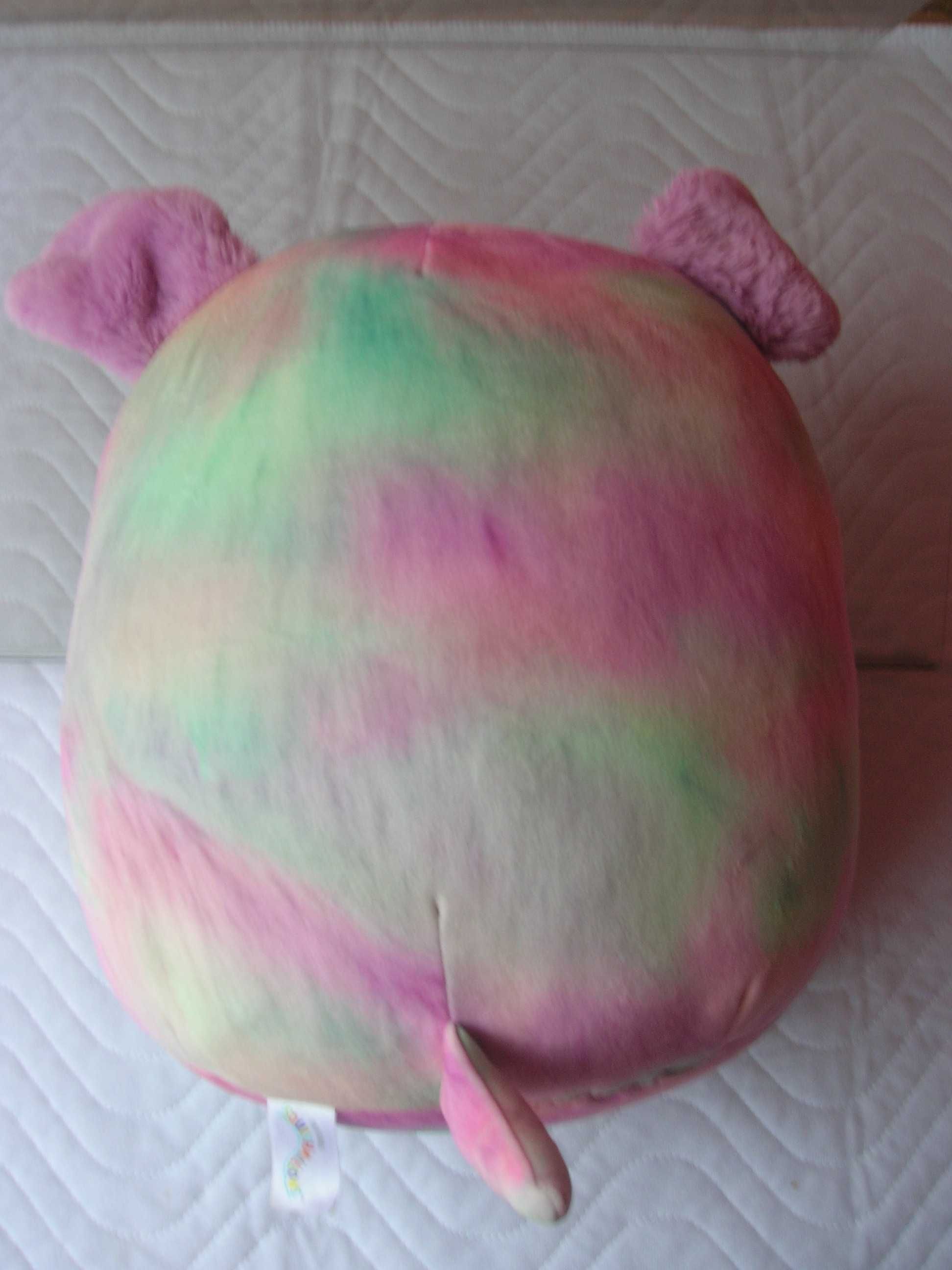М'яка іграшка-подушка Башира, фіолетова собака Original Squishmallows