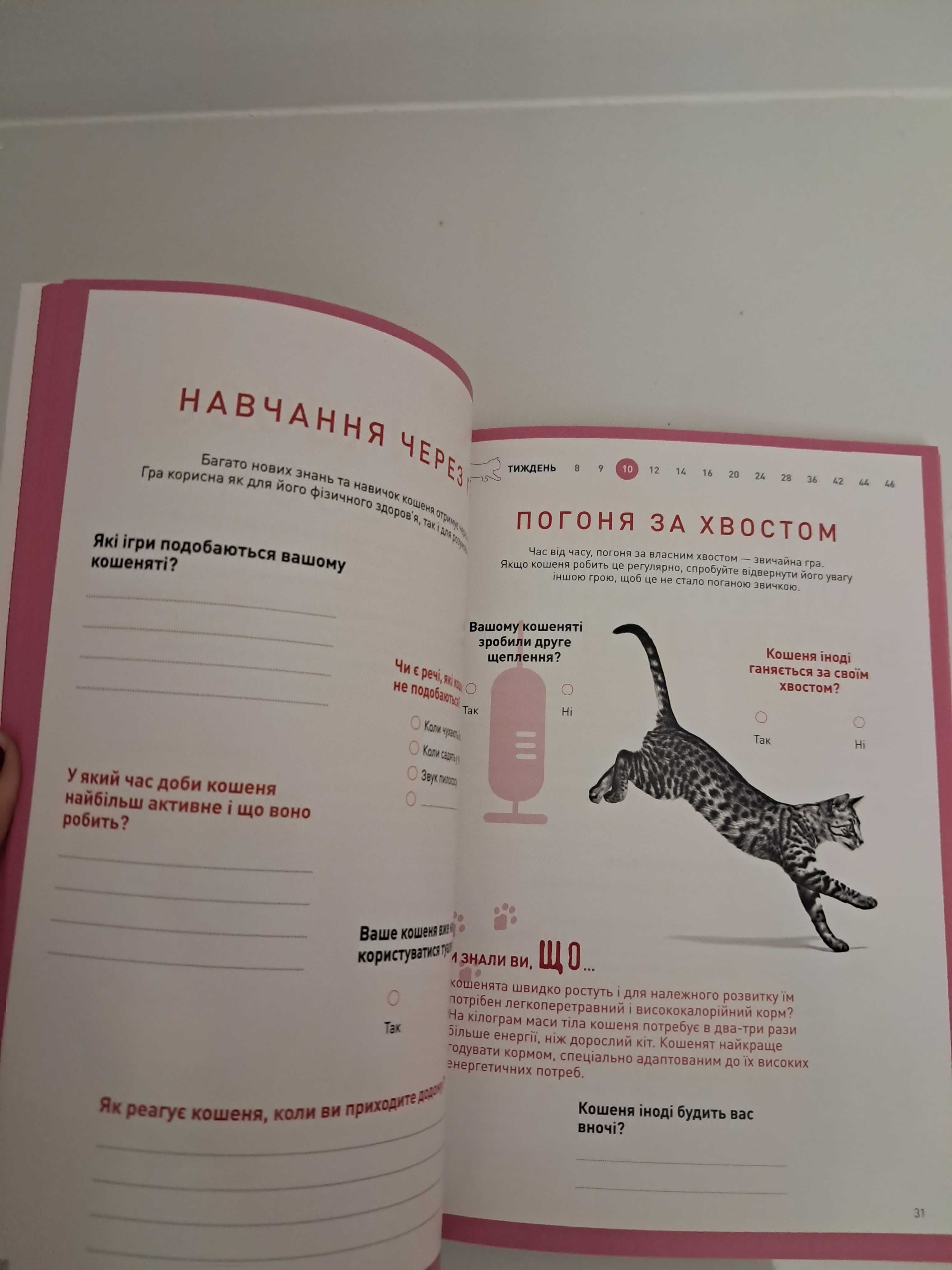 Щоденник для котика