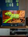 Telewizor OLED sony kd55af8, 4k, piękny obraz, podstawa, pilot, opis