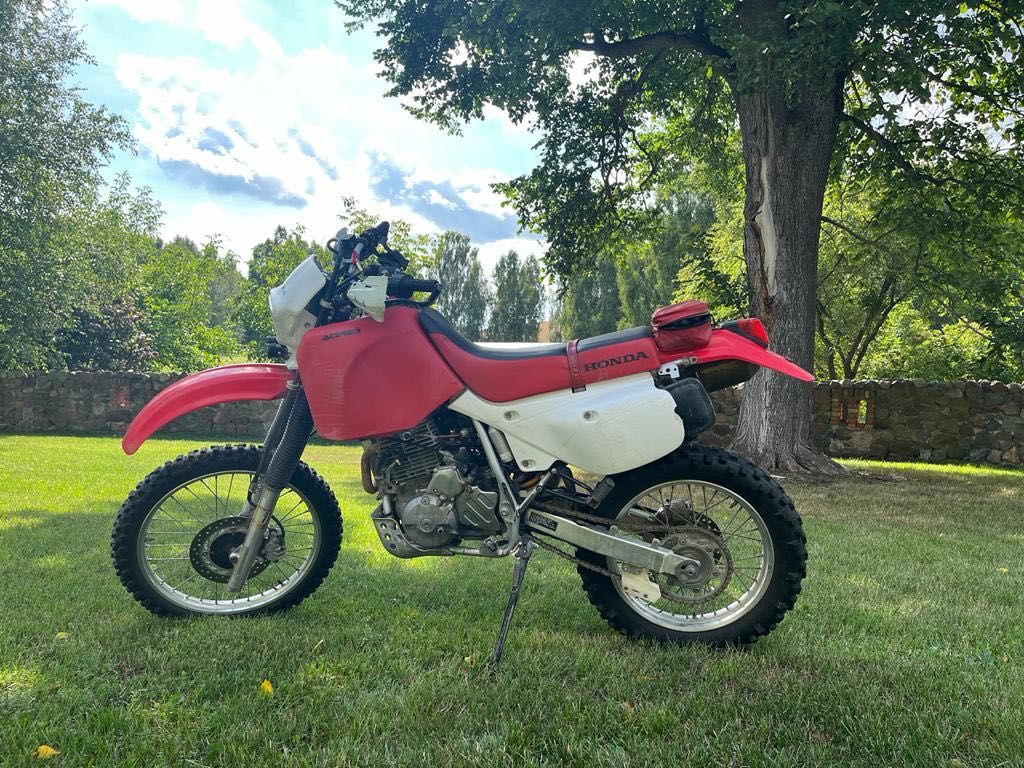 Honda XR650L - legenda