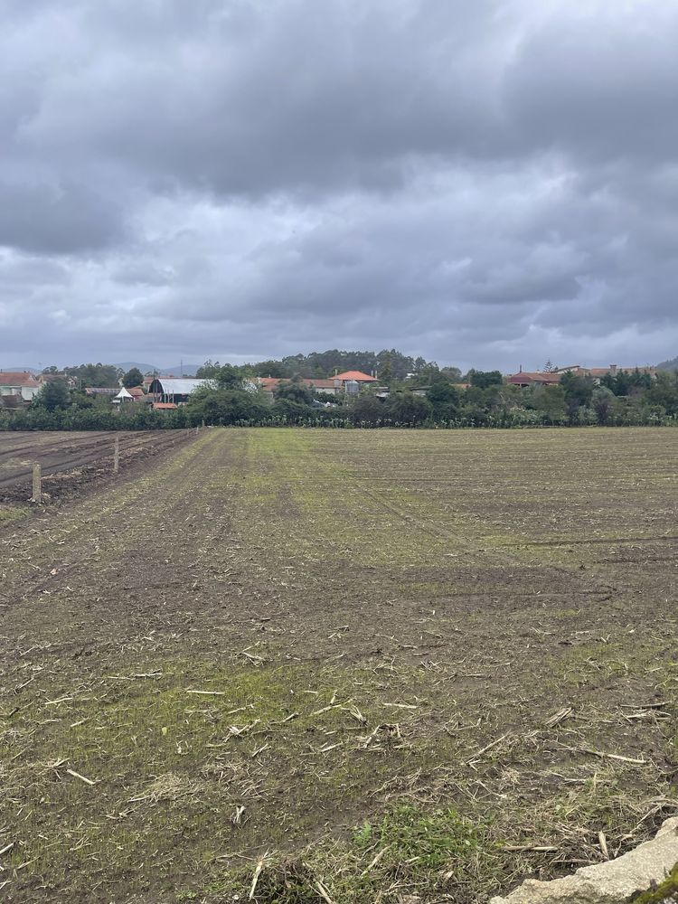 Rototerra 2.50  m