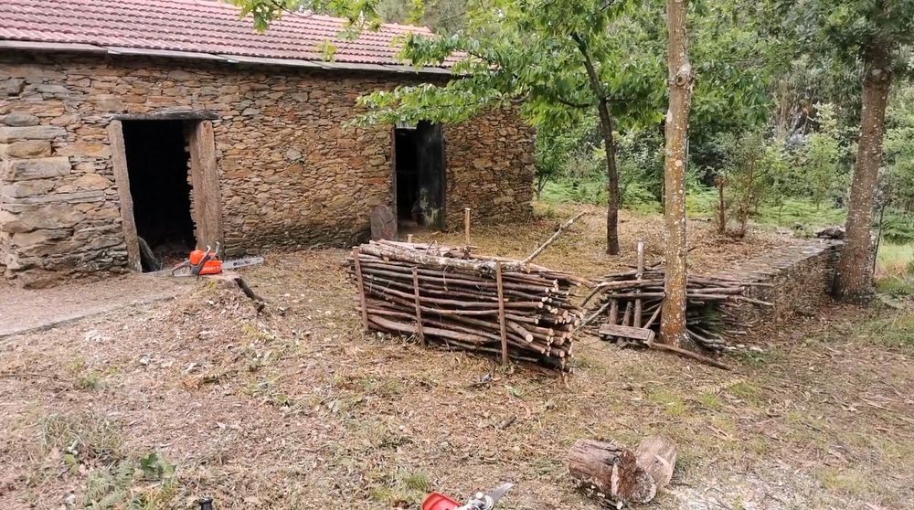 Limpeza de terrenos/Silvicultura
