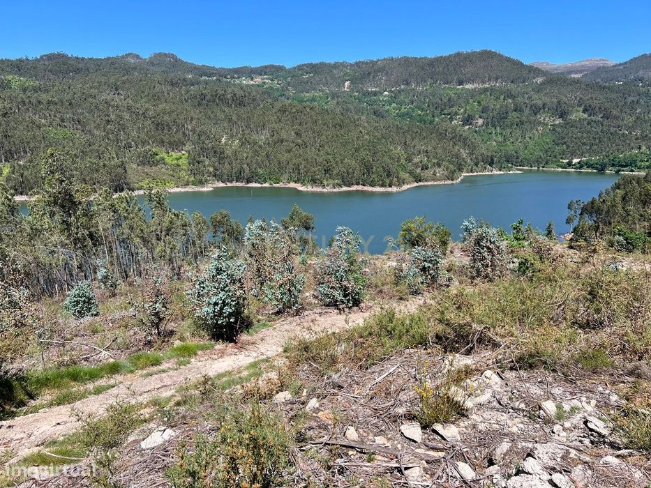 Terreno com 3 ha junto à barragem de Ribeiradio