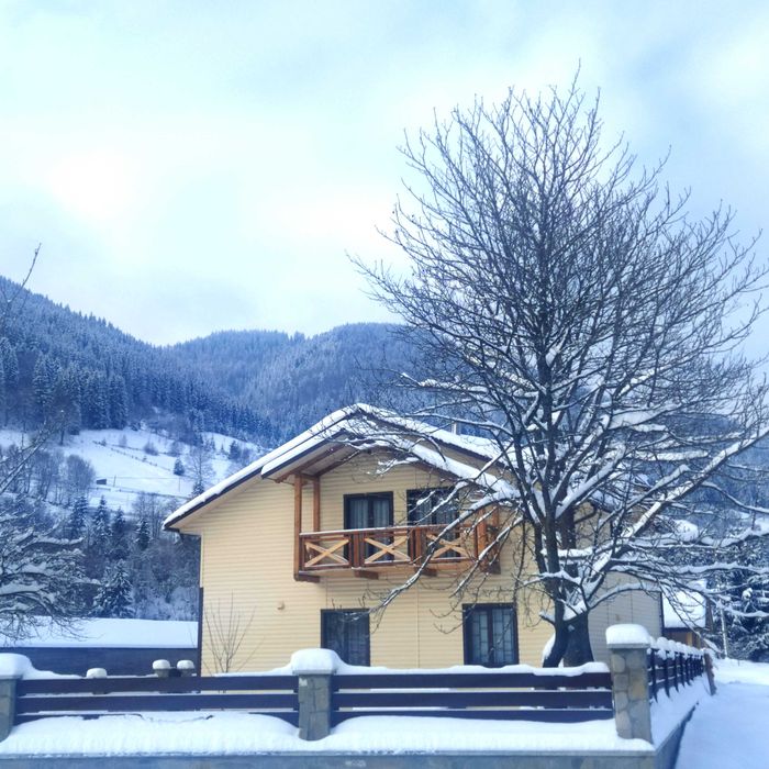 Відпочинок у Карпатах. Садиба "Гірська роса".