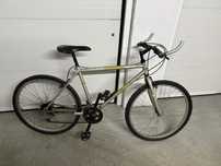 Bicicleta Esmaltina